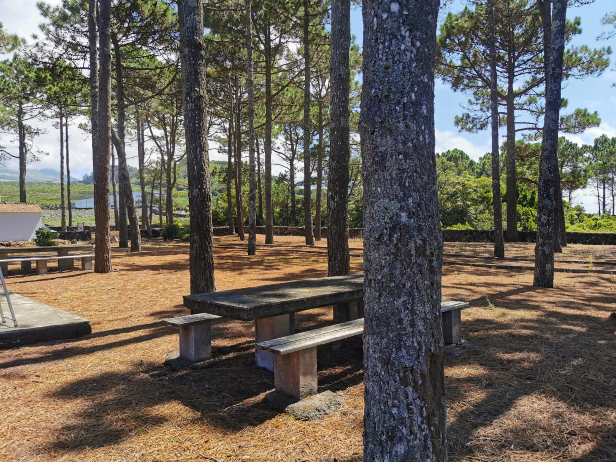 Parque de Merendas do Alto da Cerca