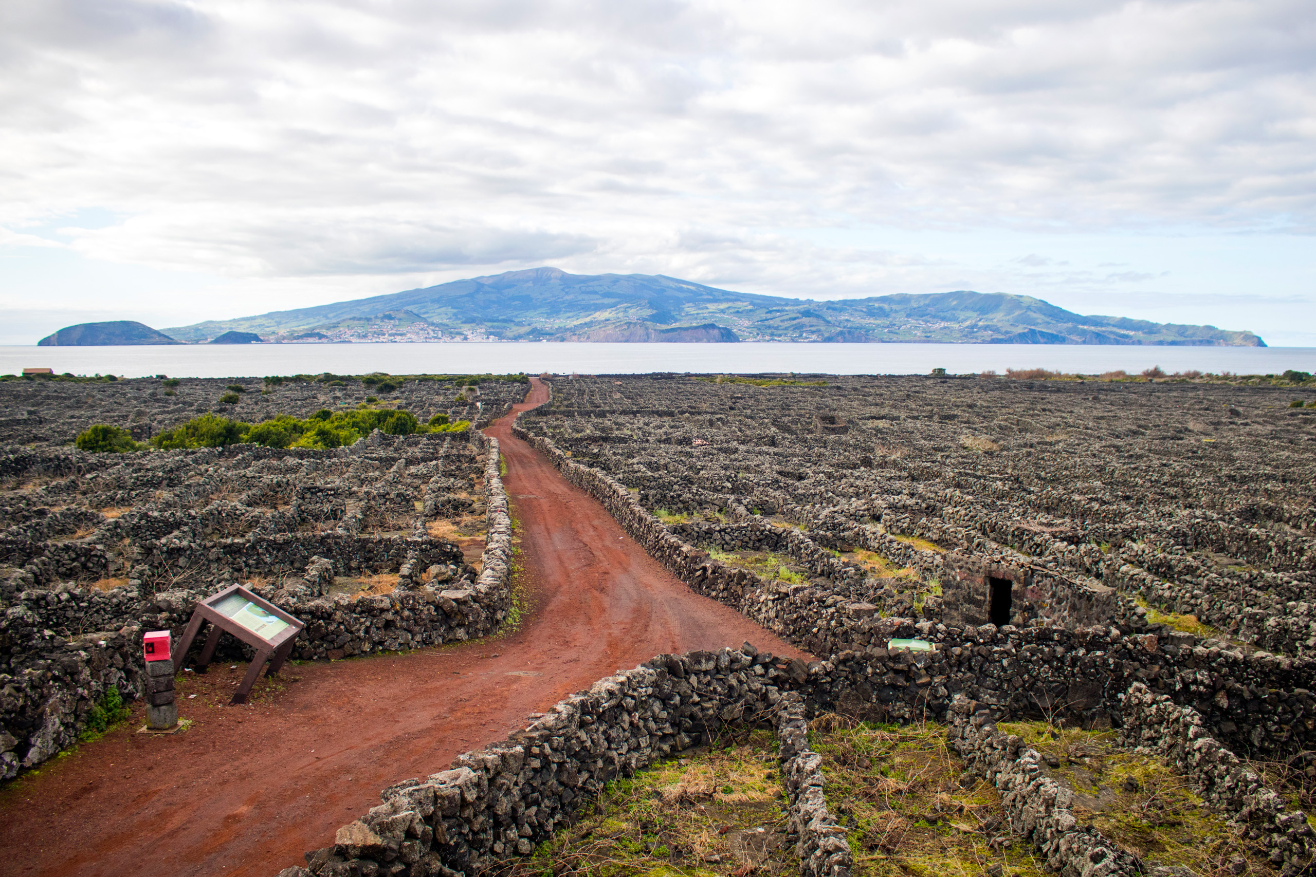 Bicicletas Adaptadas